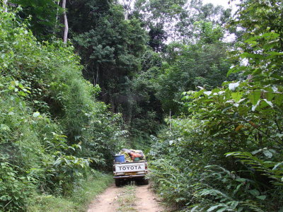 The road from Lope to the Ogoué River crossing, Gabon