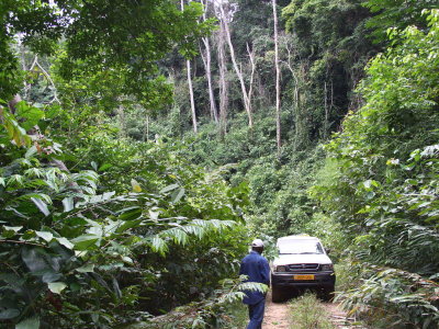 The road from Lope to the Ogoué River crossing, Gabon