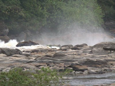 Rocks and rapids on the Ogoué River, Gabon