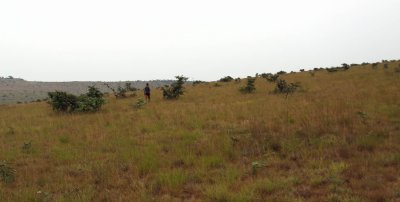 Birding the wide open spaces of the grassland hills, Leconi, Gabon