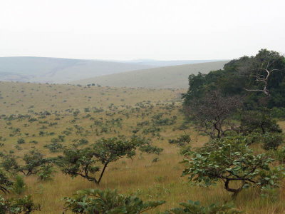 The grassland hills, Leconi, Gabon