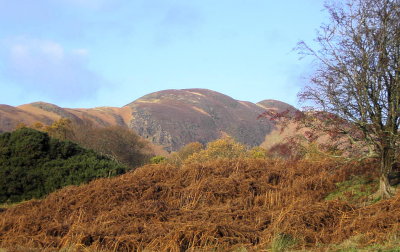 Conic Hill, Loch Lomond (*Contax*)