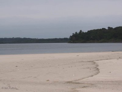 The Iguela Lagoon, Loango NP, Gabon