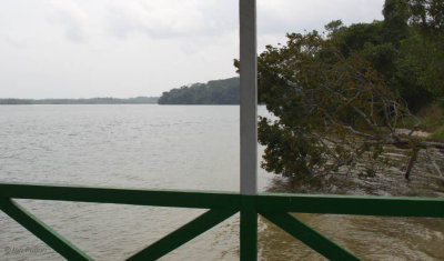 Gavilo Lodge and Iguela Lagoon, Loango NP, Gabon