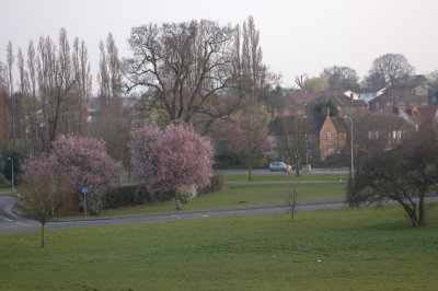 DSC_0012.jpg