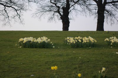 DSC_0013.jpg