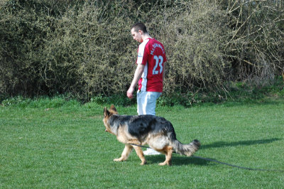DSC_0033.jpg