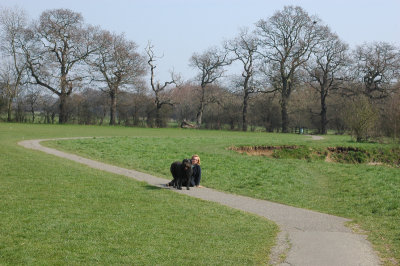 DSC_0034.jpg
