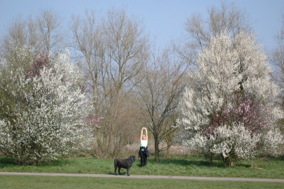 DSC_0038.jpg