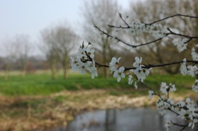 DSC_0052.jpg