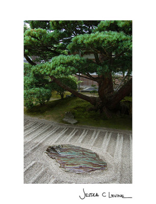 ginakuji tree