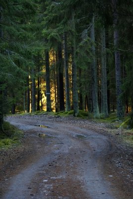 January, Sweden