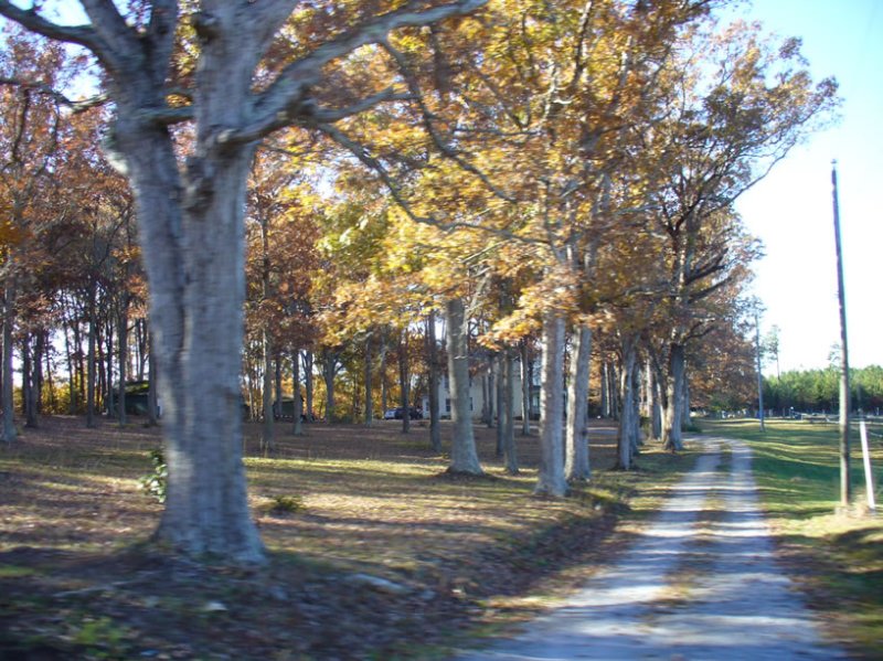lake11-10P1030198.jpg