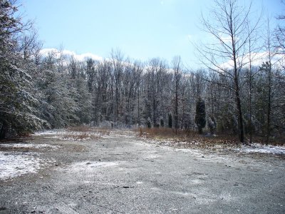 snow3