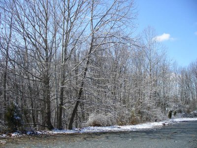 snow4