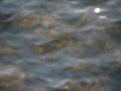 IMG_0920.jpg