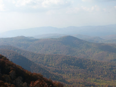 IMG_0942.jpg