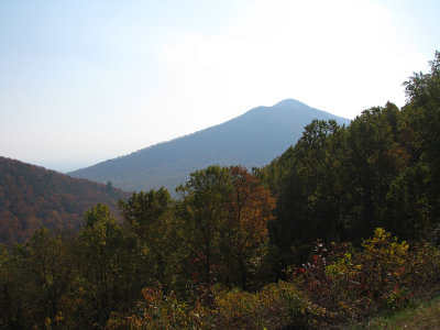 IMG_0952.jpg