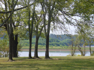 lake9-10P1030053.jpg