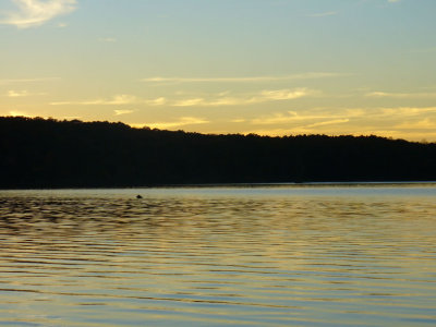 lake11-10P1030220.jpg