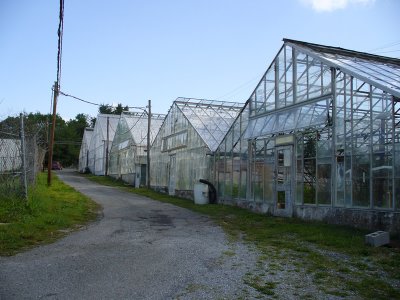 P1000849.jpg