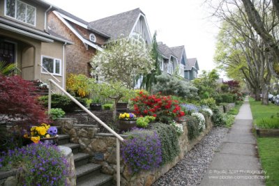 A street in Dunbar, on Vancouver's West Side