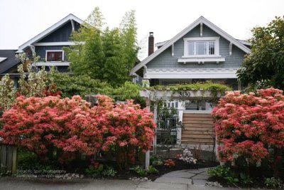 Craftsman bungalows in Kitsilano