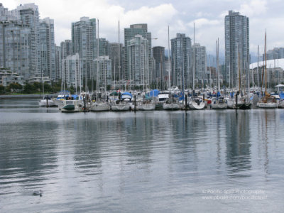 False Creek on a drizzly day