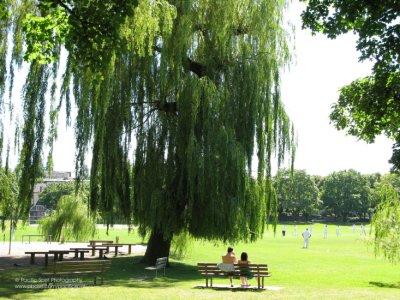 Douglas Park, Vancouver