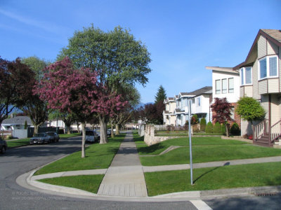 Mons Drive at Normandy Drive, East Vancouver