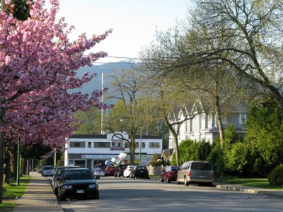 Grove Avenue in spring, Lochdale