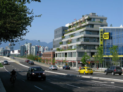 Cambie Rise on a hot Sunday in June