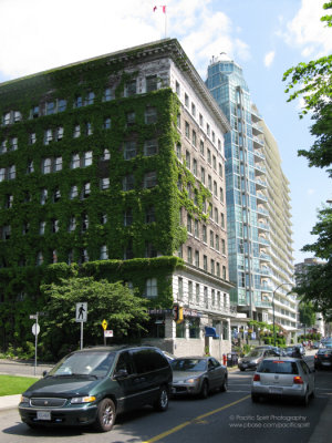 Busy Beach Avenue, West End