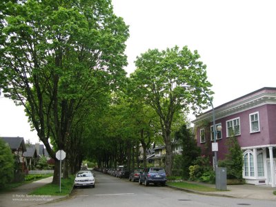 West 13th Avenue, Mount Pleasant, Vancouver