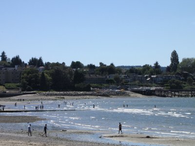 Kits Beach in July, low tide