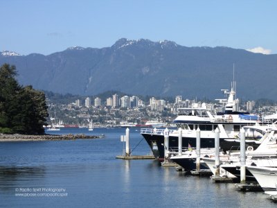 g1/11/736911/3/126687848.xYvYFZAv.jpg