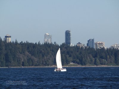Catamaran sailing past Vancouver's Stanley Park