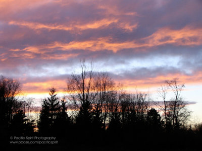 Kensington Park sunset