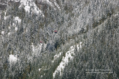 A meeting in mid-air. Grouse Mountain