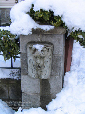  Lion in winter