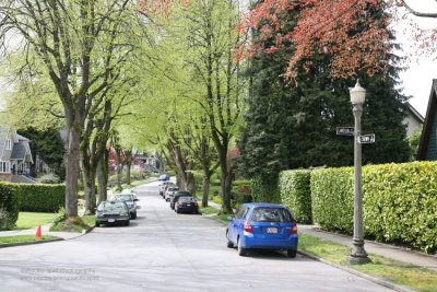 Crown Street, Point Grey