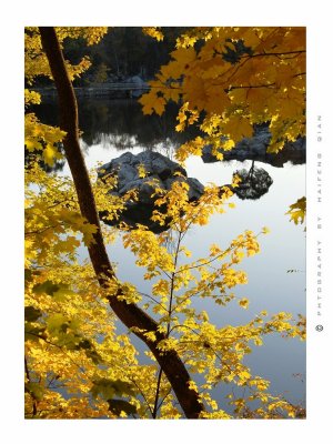 2008 Great Fall Trail