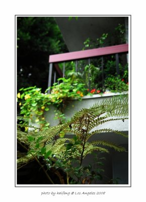 _D2H0081.jpg