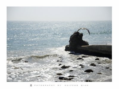 _D2H0281.jpg