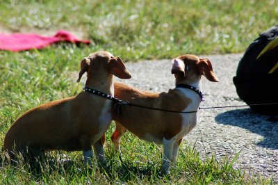 DSC_0303.jpg