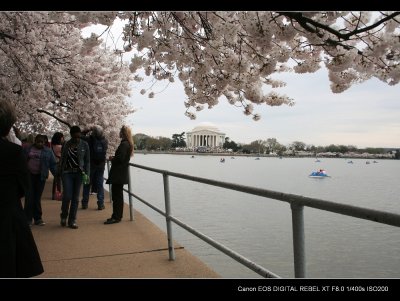 IMG_7762.jpg