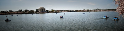 2009 Cherry Blossom Panorama