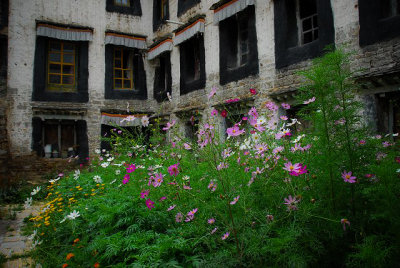 flower-1250.jpg