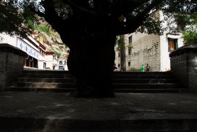 building-1342.jpg