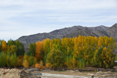 scence-1442.jpg